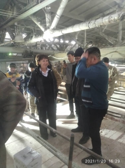 Капитальный ремонт стекловаренной печи ТОО «QAZAQ GLASS COMPANY» Фото 19